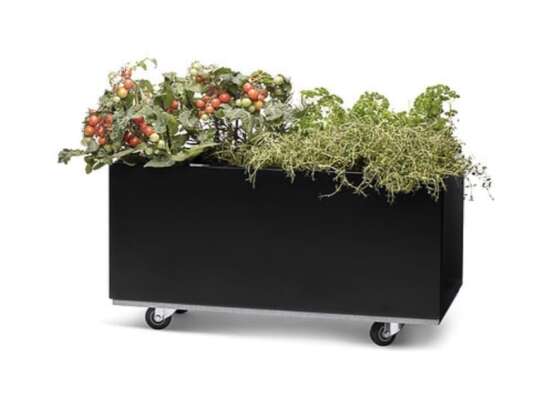 Plantekasse I Sort 60x60x25 Cm Med Bunn Og Hjul. Bedd (40-008s) Hagemøbler og utemøbler - Fine design