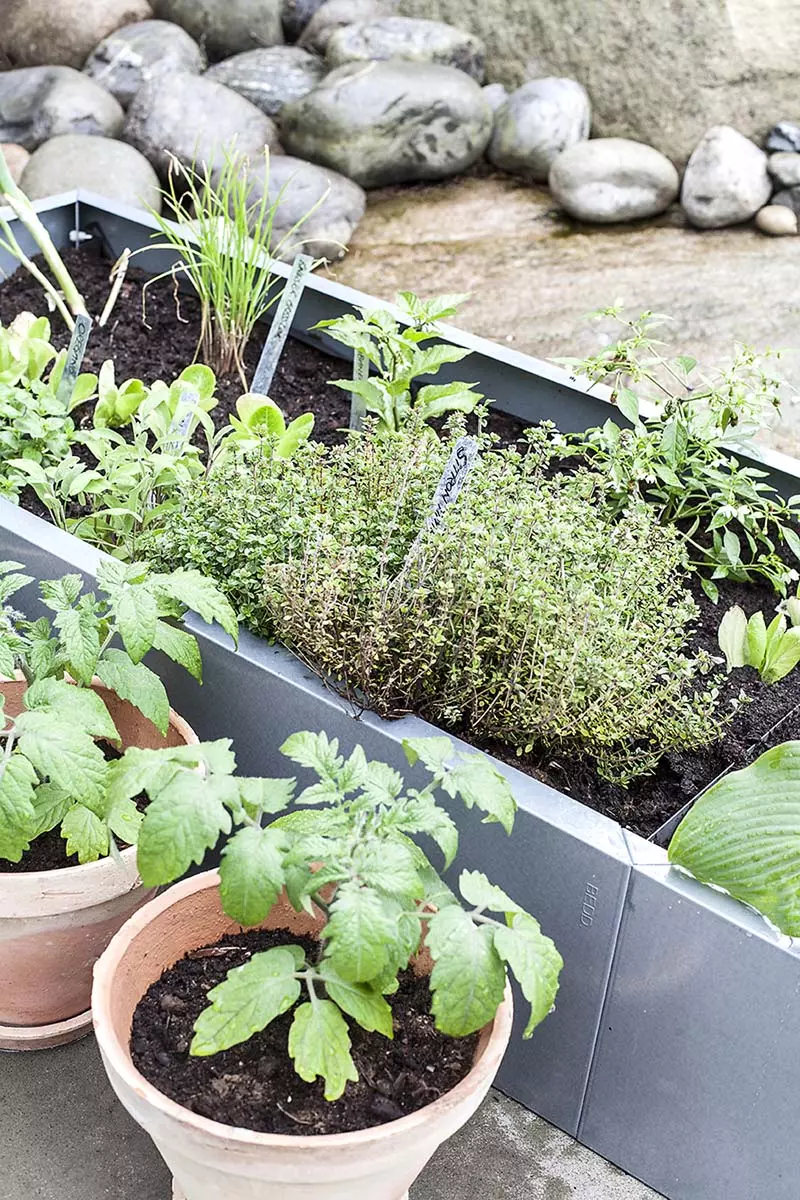 Bedd-plantekasse-med-urter-og-grønnsaker Hagemøbler og utemøbler - Fine design