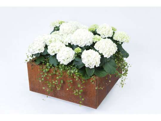 Liten blomsterkasse uten ben fra BEDD i 60 x 60 rust - Fine design