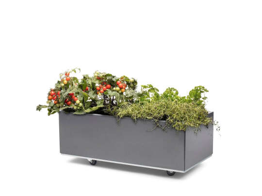 BEDD plantekasse 80x40h25 i grått med planter copy