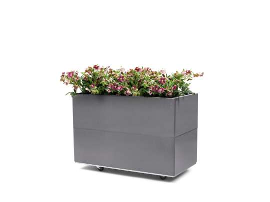 BEDD plantekasse 80x40h50 grå med planter