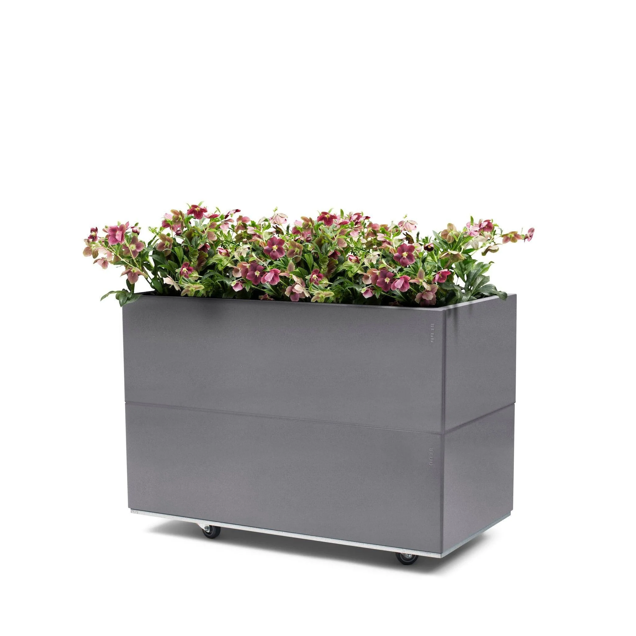 BEDD plantekasse 80x40h50 grå med planter