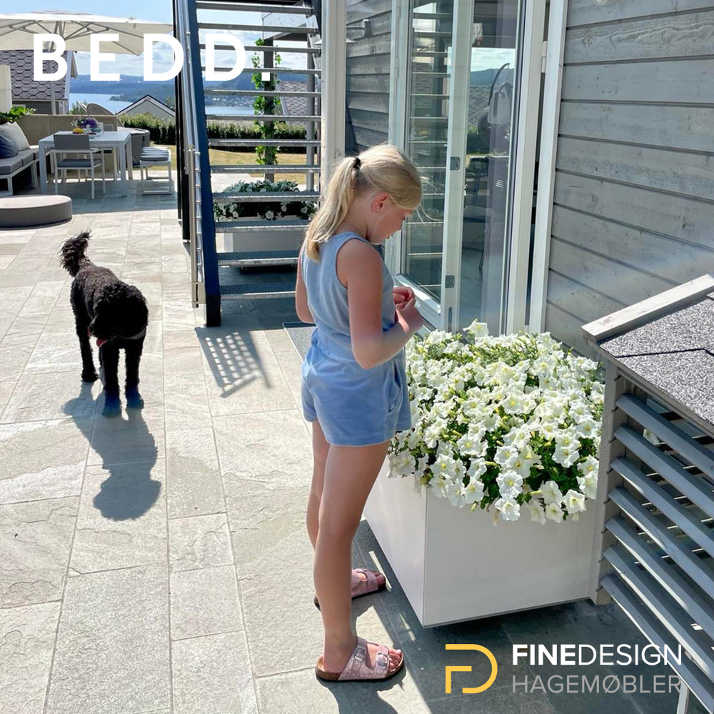 Plantekasse fra BEDD med nydelige blomster på hytta