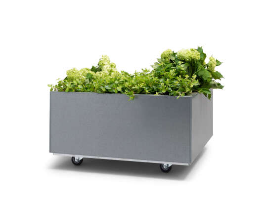 Bedd plantekasse 60x60x25 i grått med planter