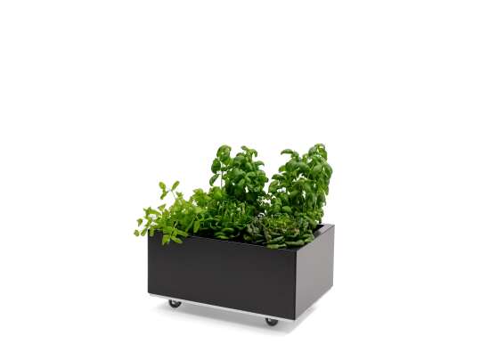 BEDD balkongkasse 60x40h25_SORT_planter