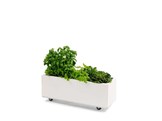 BEDD balkongkasse 80x30h25_HVIT_planter