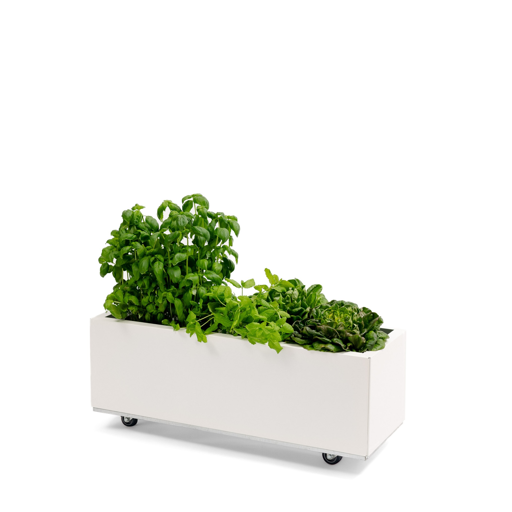 BEDD balkongkasse 80x30h25_HVIT_planter