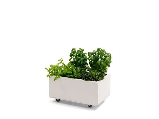 BEDD balkongkasse_60x40h25_HVIT_planter