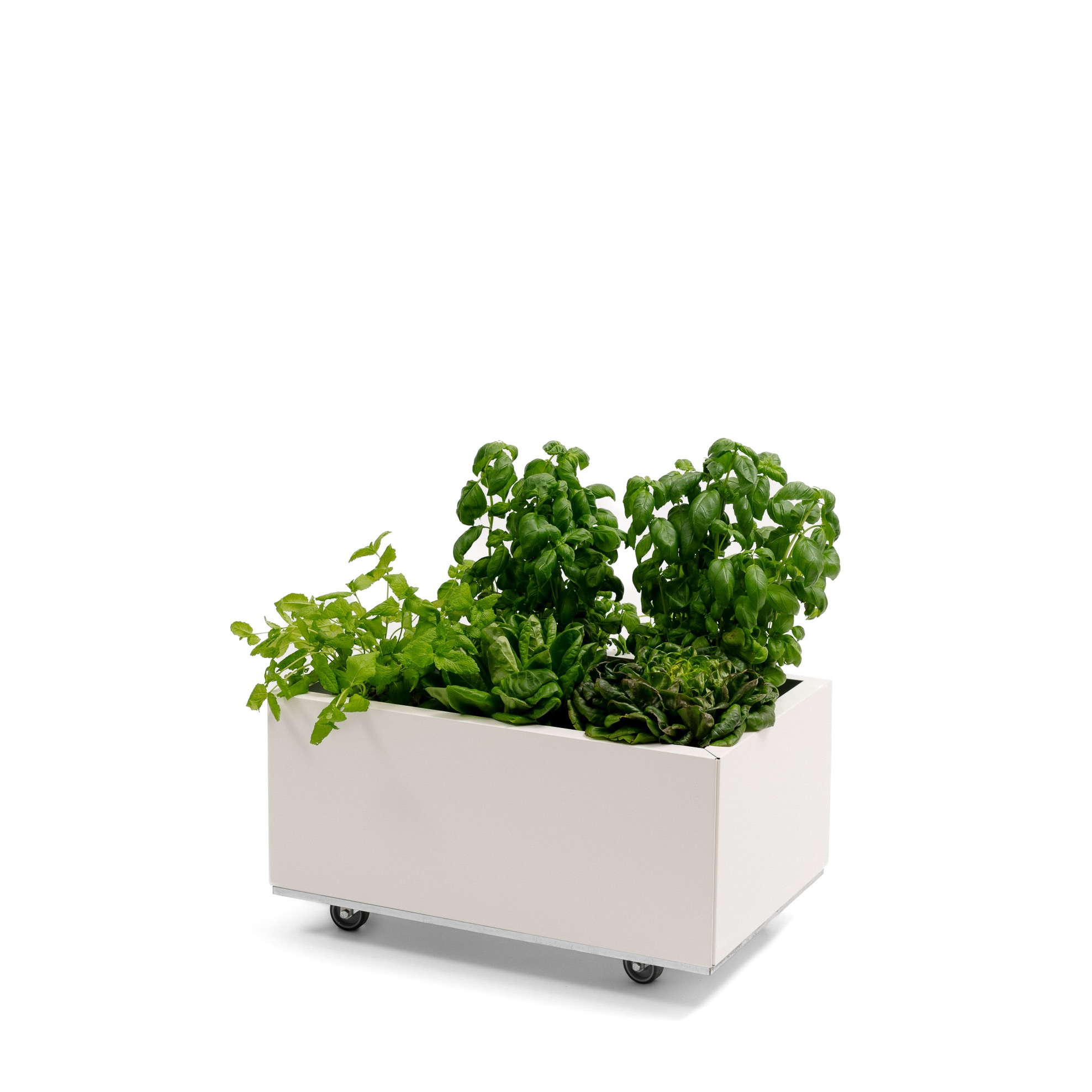 BEDD balkongkasse_60x40h25_HVIT_planter