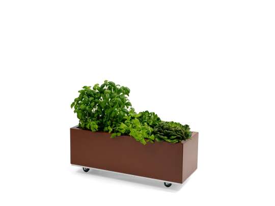 BEDD balkongkasse_80x30h25_RUSTLAKK_planter