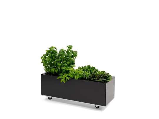 BEDD balkongkasse_80x30h25_SORT_planter
