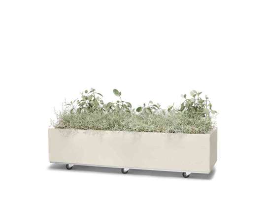 BEDD plantekasse i kalk 120x40h25 hos Fine Design med planter