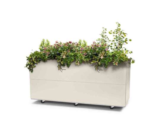 BEDD plantekasse i kalk 120x40h50 hos Fine Design med planter