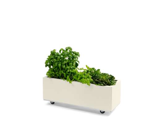 BEDD plantekasse i kalk 80x30h25 hos Fine Design med planter